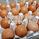 순이농장 | 난각1번 유정란 추천 양계장청년 무항생제 자연방사 고품질 유정란 20구 구매후기