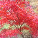 용봉사 입구 이미지