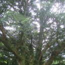 글라라 민박 이미지