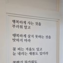 [대전 둔산동] 간단히 혼밥 하기 좋은 대전 분식집 대박분식
