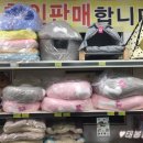 펫마트양산물금점 - 양산시 황산로 547 | 펫마트양산물금점