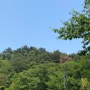 제철 초등학교 | 1박2일 포항여행 #1 : 오션뷰 에어비앤비, 유재용손만두, 오브레멘, 스페이스워크, 지곡동