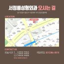 서정룡성형외과 네이버블로그