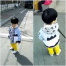 알로엔루 이미지