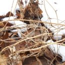 오르농장 이미지