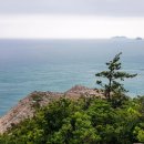 동거차도 구상 페페라이트 이미지