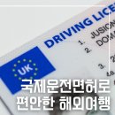 자유국제여행사 이미지