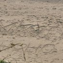 예단포1번지 이미지