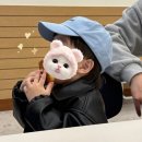 11650-16-96-8 | [#14] 24주차 | 창원 미즈맘 산부인과 임당 검사 후기 🍊 / 중기 빈혈 / 육아용품 베이비하우스 🍼