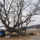 이산사 이미지