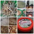 가마솥수제조청(약도라지.생강.무.쌀) 준비햇어요 이미지