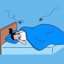 모기아트 이미지