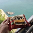 태종대 전망대 이미지