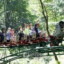 백두대간약초나라 이미지