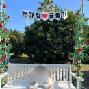 귤향기 | 귤향기 귤따기 체험 후기, 아이도 어른도 즐기기 좋았음