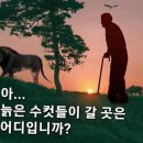 비앤요가