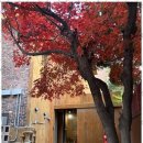 다현세무회계 - 제주시 인다10길 25 | 다현세무회계