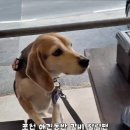 추담추어탕 이미지