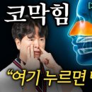 신비코 이미지
