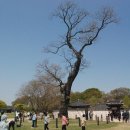 안흥일품꽃게장 이미지