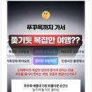 올인원투어 | “푸꾸옥, 나만의 차로 하루 꽉 채운 여행 — 올인원 렌트카 투어 후기”