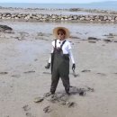 성호농장 | ☆보넥도 시그 후기☆