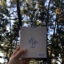 몽산포할인마트 이미지