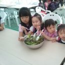 상명어린이집 이미지