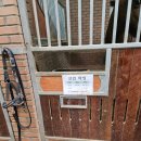 승마클럽 영풍 이미지