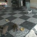 민지 농장 이미지