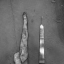 시온동물병원 이미지