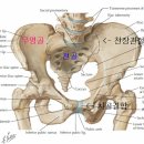 나음교정운동센터