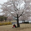 호수공원 제2주차장 이미지