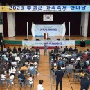 부여(임천)-14 이미지