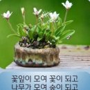 소꼽친구 이미지
