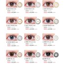 렌즈타운 이미지