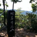 마루산 이미지