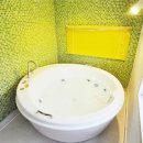 반도스파인 이미지