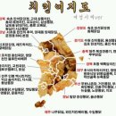 마평통닭 이미지