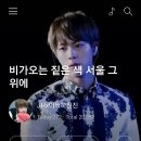 진진토탈 이미지