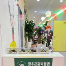 양주 두리랜드 곤충박물관 파충류 체험 아이랑 가볼만한 곳