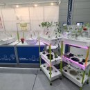 서원대박축산 | [교육문의 대박🌟체험인기 폭팔💚]2023 농림축산식품 과학기술대전 참여 후기🌱 "#레이저커팅 #스마트팜...