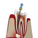 로이스서울치과의원 이미지