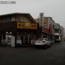 황금벼슬 이미지