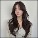 이브헤어 네이버블로그
