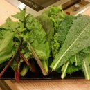 은근채 쌈&고기 이미지