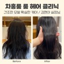 마곡역 미용실 : 차홍룸 마곡점 김현아 실장님 룸 헤어 클리닉 후기