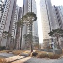 153공인중개사사무소1 이미지