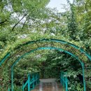 모네의 정원 이미지