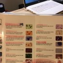 김현영산부인과의원 | 동네병원 김현영 산부인과 추천_ 까치산역 여의사 산부인과